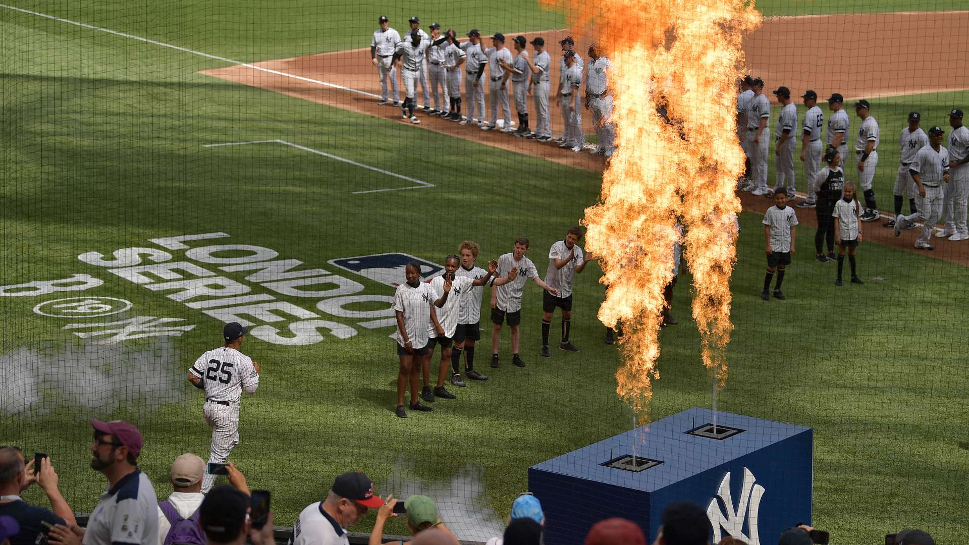 我们可以参 我们可以参