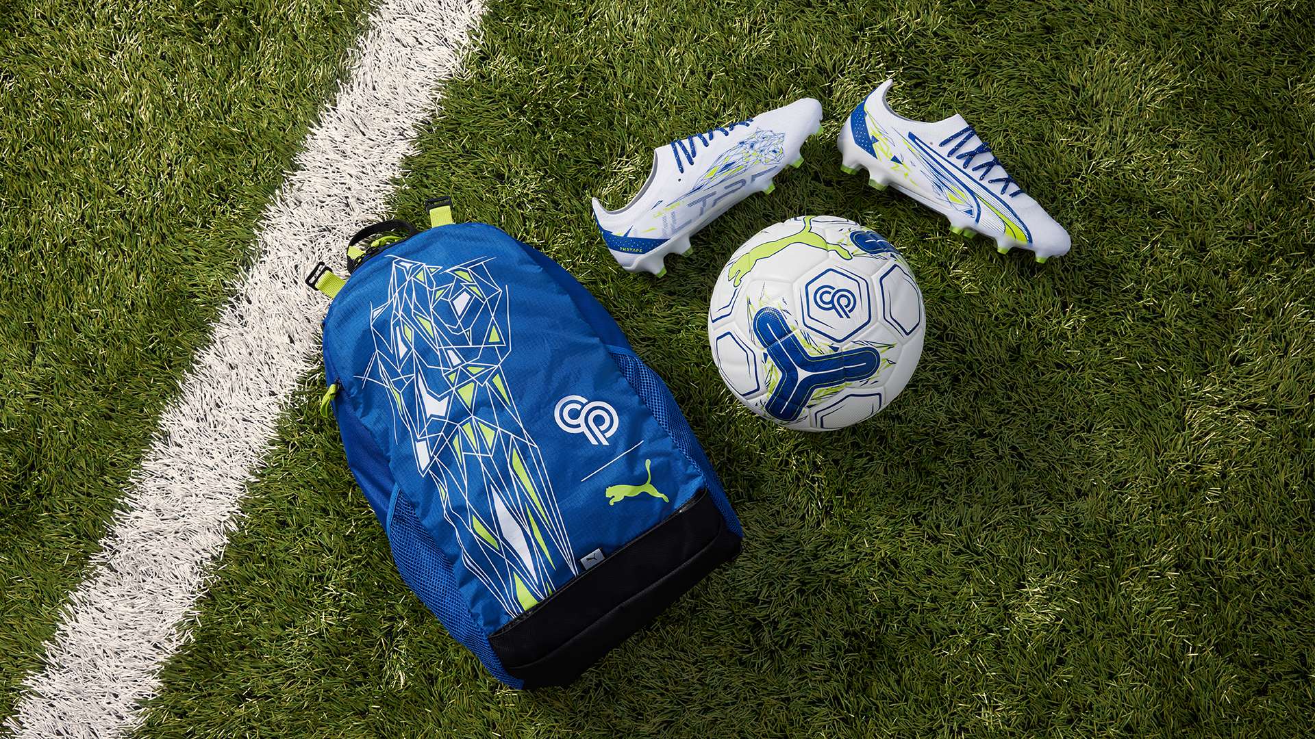 持体育赛事 持体育赛事